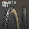 Chaoyang Phantom Wet TLR/SPS - 29x2,20" - Sort/Brun - 6938112679149 -Dæk Salg 121678246 373741677315457 7490389575673110268 n