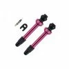 Allbike Tubeless Ventil Barbieri FV 45 Mm - 2 Stk - Pink - AD/PRE45PIN